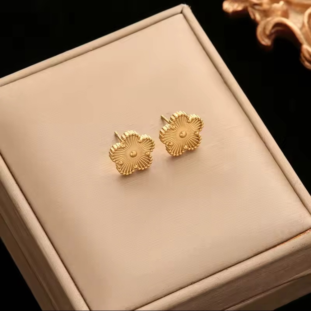 Chic 18k Gold plated stainless steel Earrings